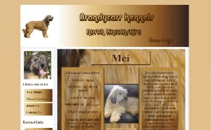 Website Designed By Raymond Howell At Home Call Computer Repairs, Lincolnshire, www.catalansheepdogs.co.uk