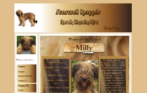 Website Designed By Raymond Howell At Home Call Computer Repairs, Lincolnshire, www.starwell-kennels.co.uk